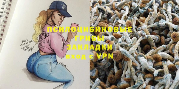 мдпв Балахна