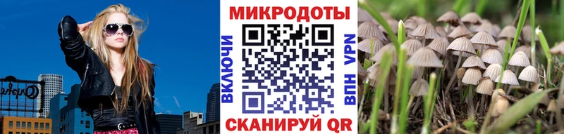 KRAKEN рабочий сайт  Корсаков  Галлюциногенные грибы мицелий 